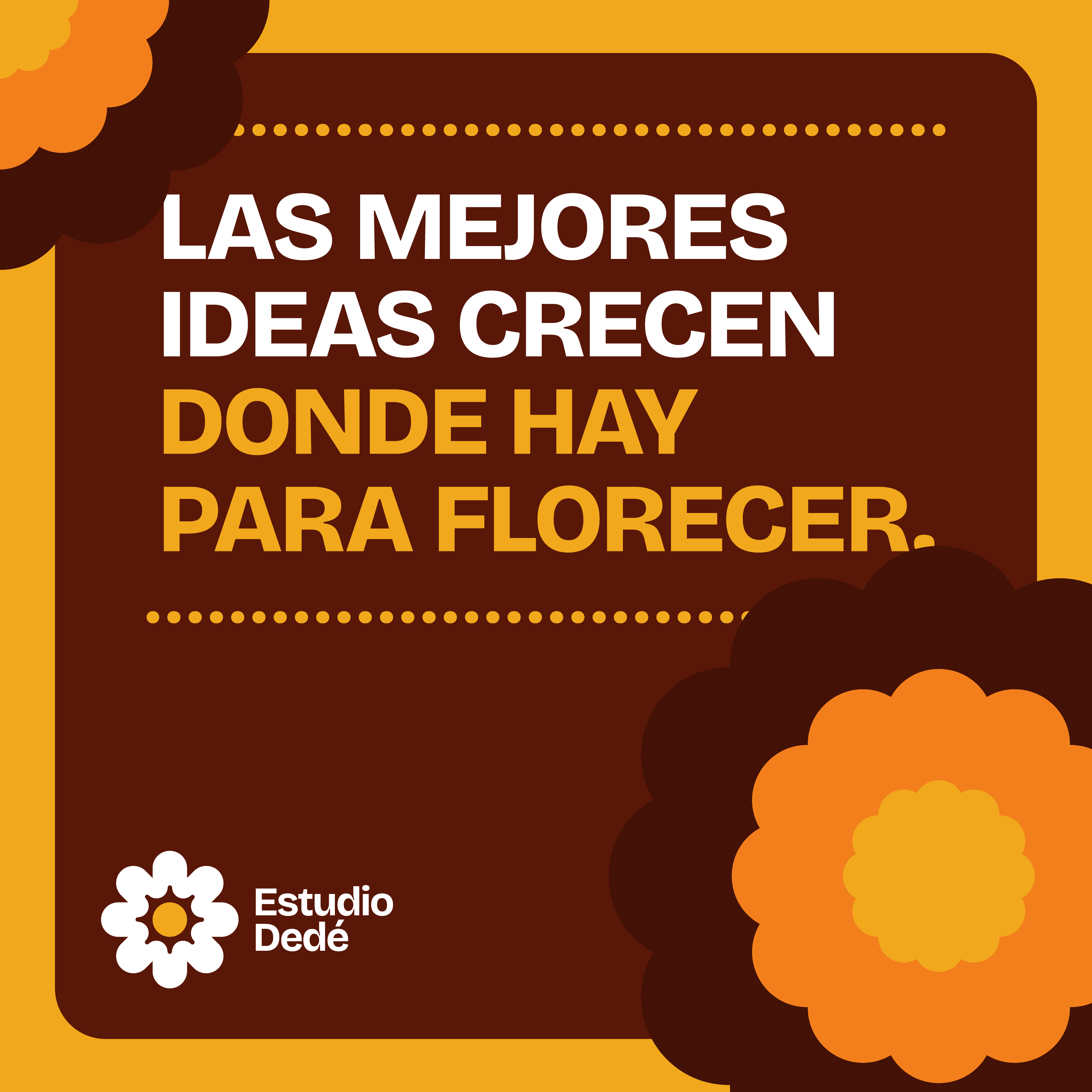 Estudio Dedé — Las mejores ideas crecen donde hay para florecer